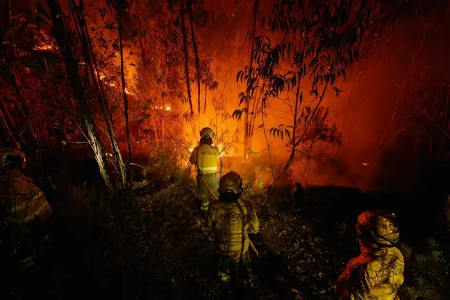 Incendio de Niebla.