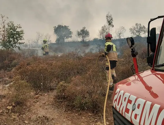 Incendio de Niebla.