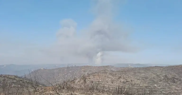 Incendio de Niebla.