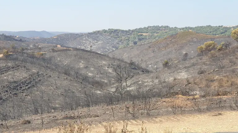 Imagen de Berrocal tras el paso del fuego.