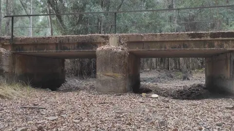 Arroyo de Don Gil, principal afluente del arroyo de La Rocina, el de mayor aporte de agua a la marisma de Doñana. (Bodegones-Almonte).
