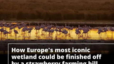 Título de la investigación