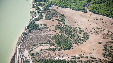 Parque de Doñana