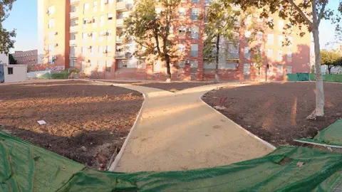 Actuación en la Necropolis en el Torrejon