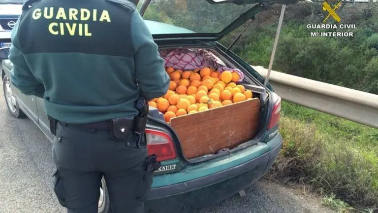 Veh&iacute;culo interceptado cargado de naranjas robadas. / Guardia Civil