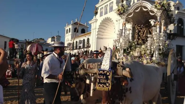 Fotos galer&iacute;a: Ayto. Almonte