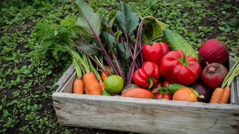 La industria agroalimentaria sigue consolid&aacute;ndose como principal motor de la econom&iacute;a onubense