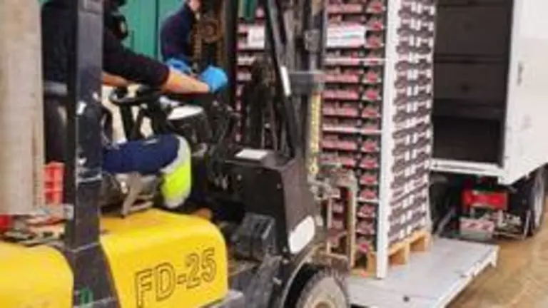 Un operario carga cajas de fresas en un cami&oacute;n