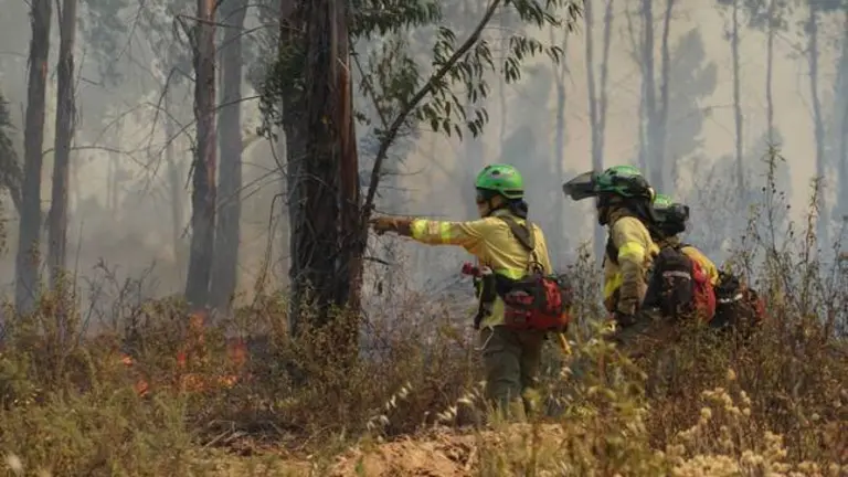  Bomberos del Infoca en el incendio. (Foto: Plan Infoca)