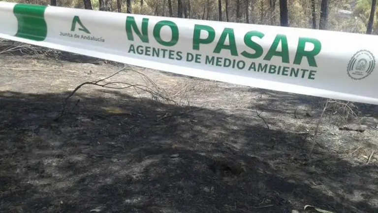 Zona del incendio acotada por los investigadores.