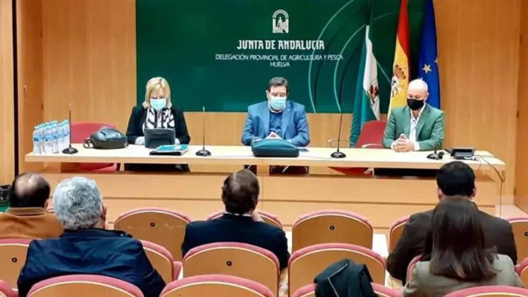 14/03/2021 Huelva.- La Junta y organizaciones agrarias rechazan el decreto de convergencia de la PAC y piden su retirada.

Responsables de la Consejer&iacute;a de Agricultura, Ganader&iacute;a, Pesca y Desarrollo Sostenible y portavoces de la organizaciones agrarias y Cooperativas Agroalimentarias de Huelva han mostrado su "un&aacute;nime rechazo" a la aplicaci&oacute;n del Real Decreto de transici&oacute;n de la Pol&iacute;tica Agraria Com&uacute;n (PAC) y han instado al Gobierno de Espa&ntilde;a a su retirada como paso previo a la apertura de una v&iacute;a de di&aacute;logo que permita negociar un proceso de convergencia menos brusco y que no tenga una incidencia tan negativa sobre el sector.

POLITICA 
JUNTA DE ANDALUC&Iacute;A