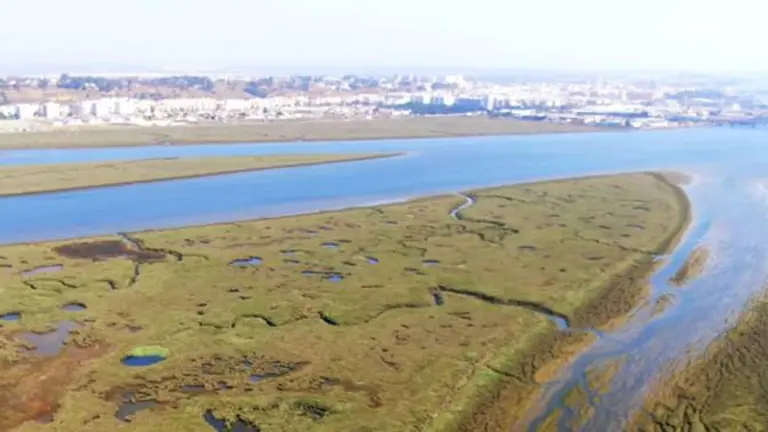 Vista panor&aacute;mica de las marismas de San Juan del Puerto