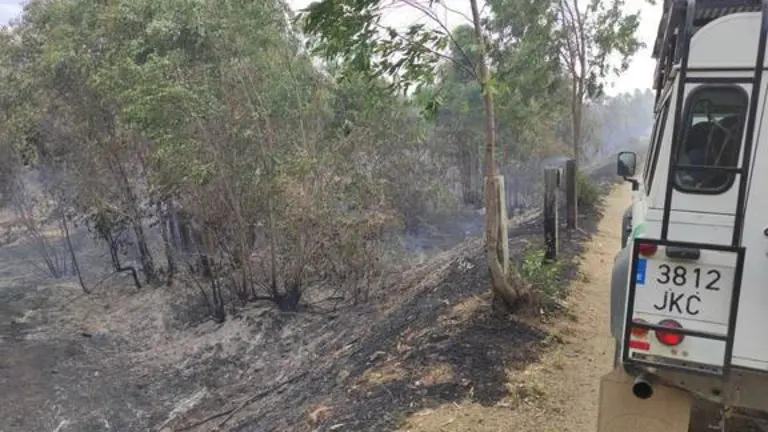 Incendio forestal en Lepe