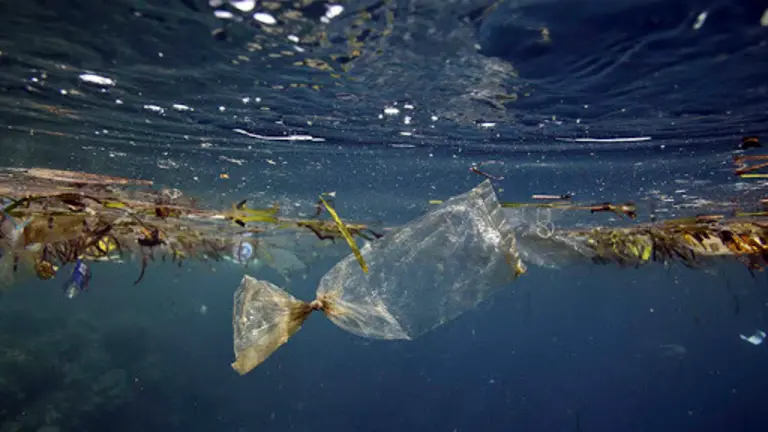 Plastic bag floating underwater at Pulau Bunaken