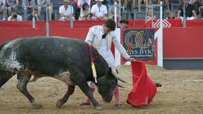 Conquero, en el albero.