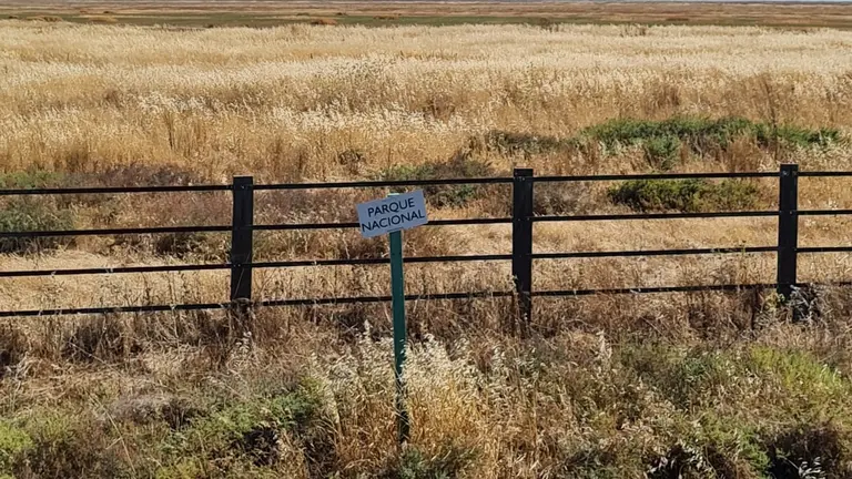 d408ae2e-0740-4bb6-b726-55f1e94484bf