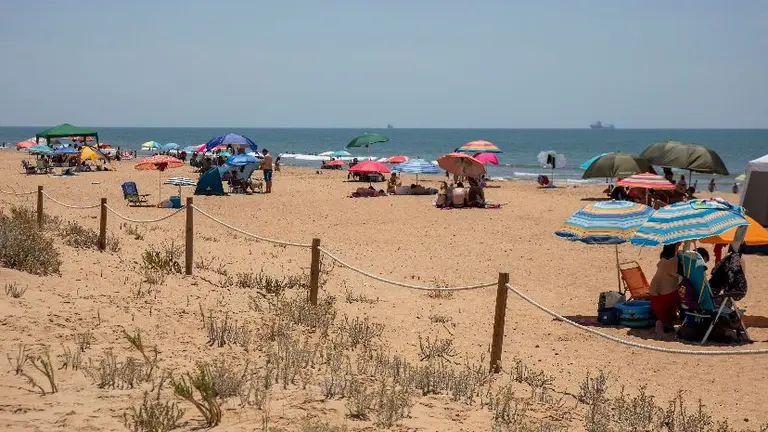 E2459066-9B6A-49B5-9347-60178ED43E2F