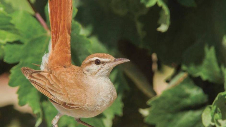 1D92562A-945E-43E6-897B-5C50CEEAA1E9