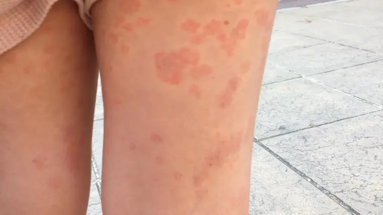 286363926_1070252890282673_7503166650380621819_n