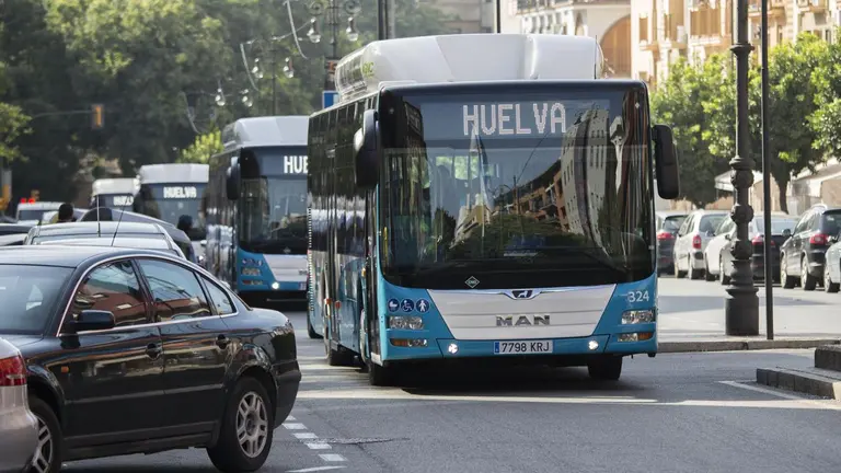 Autobuses urbanos circulando por la capital.