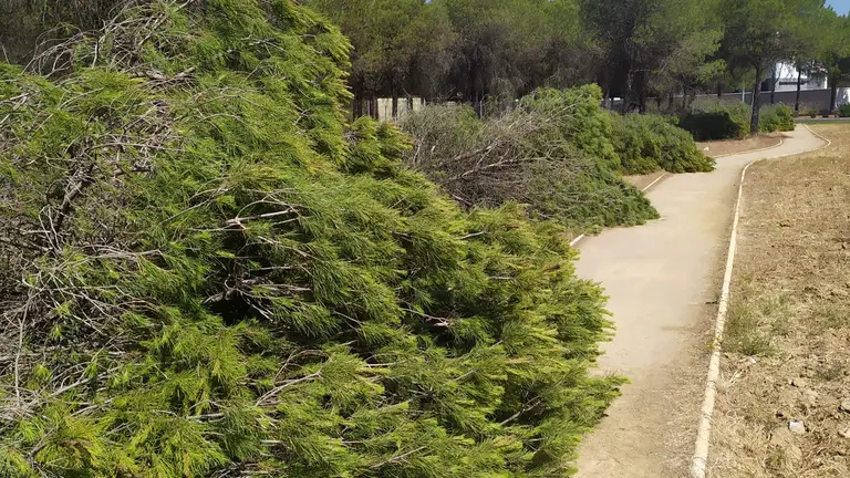 WhatsApp Image 2022-07-09 at 2.21.01 PM (3)