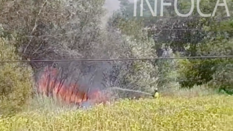 Efectivos del Infoca sofocan un incendio en Almonte
