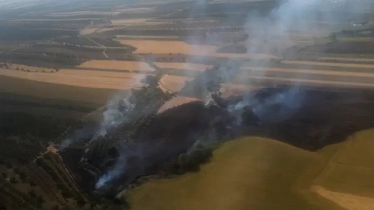 Incendio en Clarines (Beas) Plan Infoca: Foto