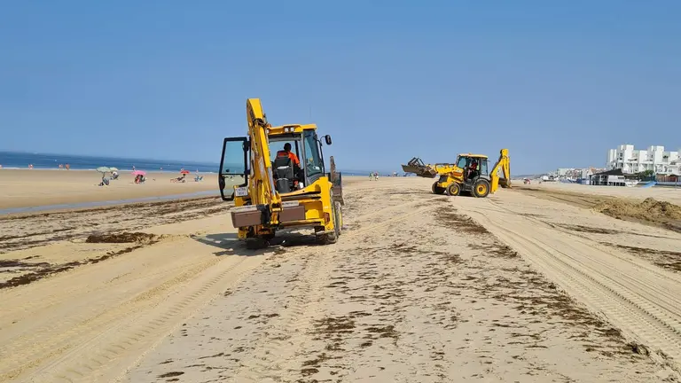 El Ayuntamiento de Almonte elimina de algas del litoral