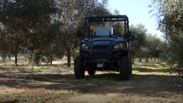 Proyecto OliBoTIC01 de la Universidad de Huelva