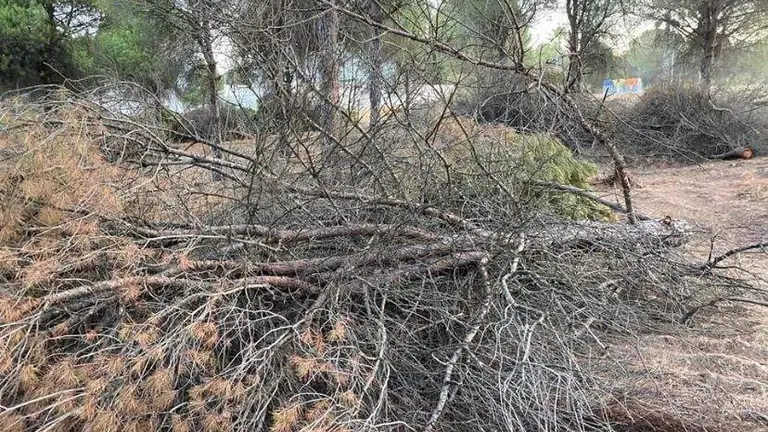 5E676CC1-9736-4ED6-8557-472F71C48C1D