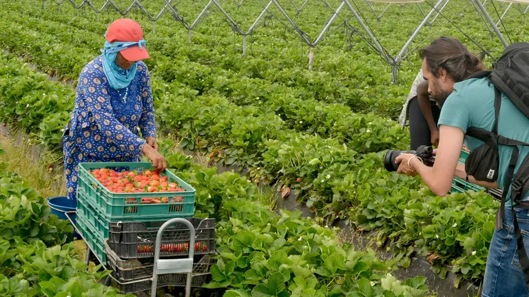 Zona de riegos legales en el entorno de Doñana.