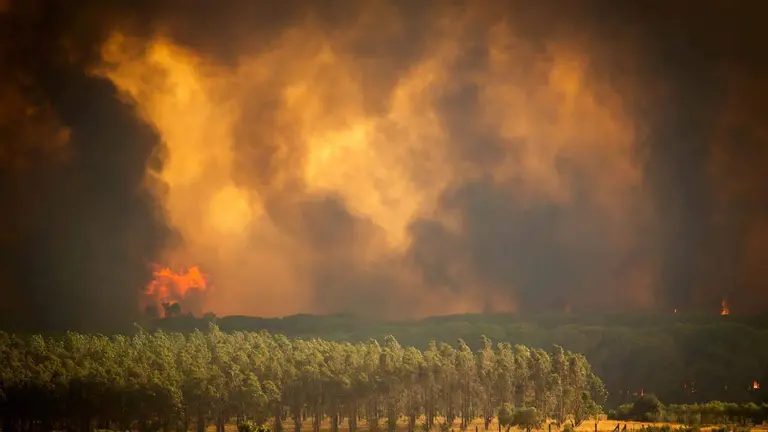 29712CE7-34A5-445A-A378-9E0BAC123AE0