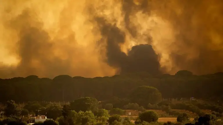 Panorámica del fuego que asoló los pinares de bonares