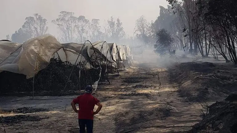 Un agricultor contempla el desolador panorama tras el incendio