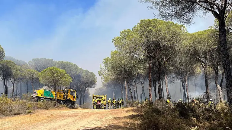 Bomberos forestales desplegándose sobre el terreno