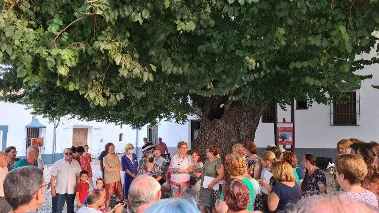 D5949E2D-FE92-4306-8515-AA51F8F45B63