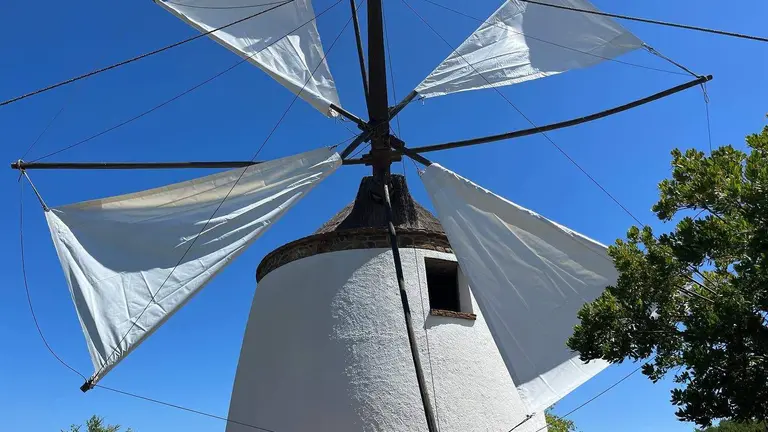 Molino de La Solana (2)