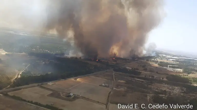 &Uacute;ltimo incendio en el entorno de Do&ntilde;ana.