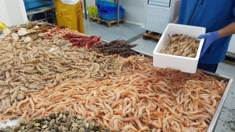 Capturas a la venta en Huelva.