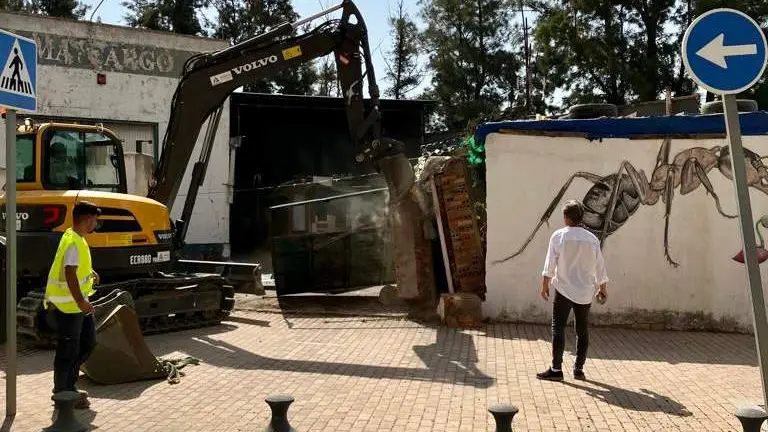 Trabajos derribo Palma y Cargo en la capital.