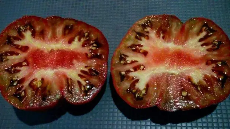 31E73FA6-4CF2-4648-8694-639A8E51FF17