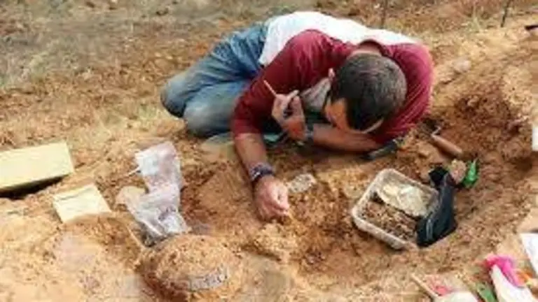 Excavaciones en La Joya.