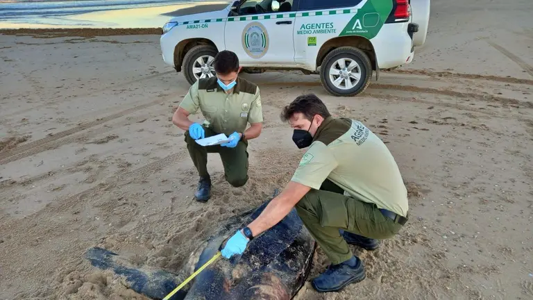 ED8C7CBD-C65A-4B33-ABF9-279E9F70E586