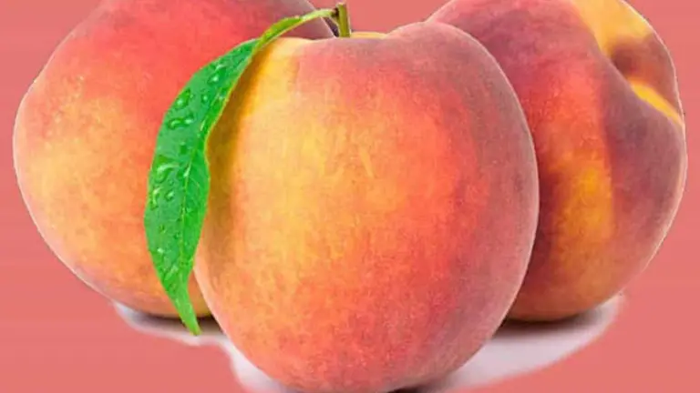 Cartel de la LVIII Fiestas del Melocotón