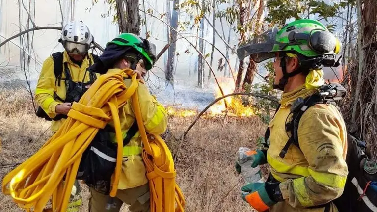 Bomberos forestales en el incendio de Bonares y Almonte de este verano.