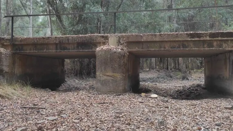 Arroyo de Don Gil, principal afluente del arroyo de La Rocina, el de mayor aporte de agua a la marisma de Do&ntilde;ana. (Bodegones-Almonte).