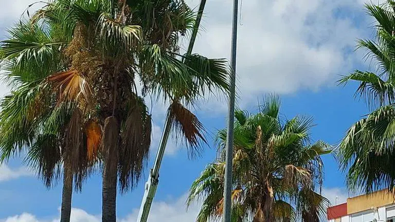 Tareas de modernización del alumbrado público