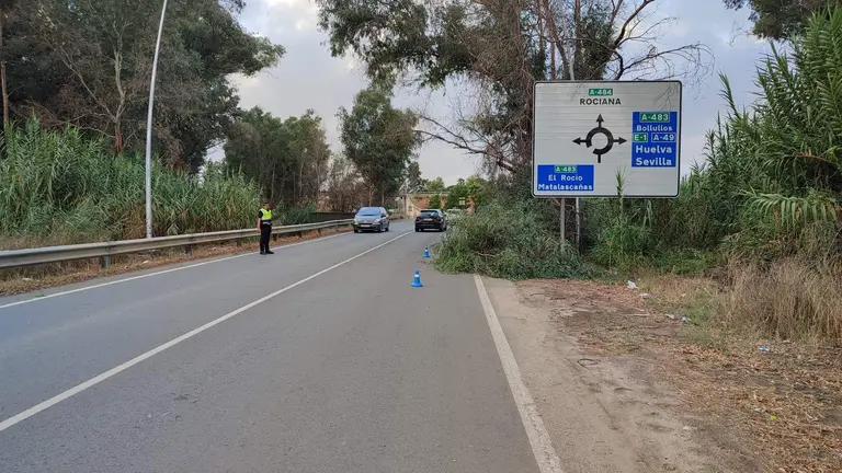 Ramas de eucalipto cayeron a la v&iacute;a p&uacute;blica comprometiendo la circulaci&oacute;n