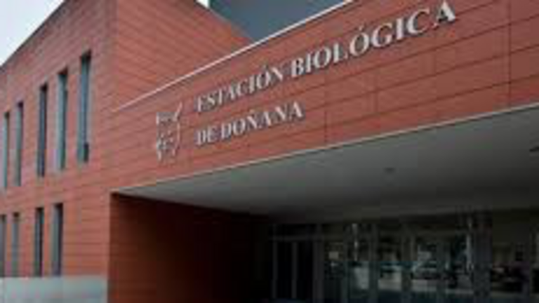 09E1C2B1-0D97-4BDA-9242-C3710B2D8871