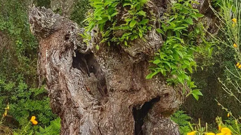 C1745003-74B0-42DF-B426-CAA3D20838E5